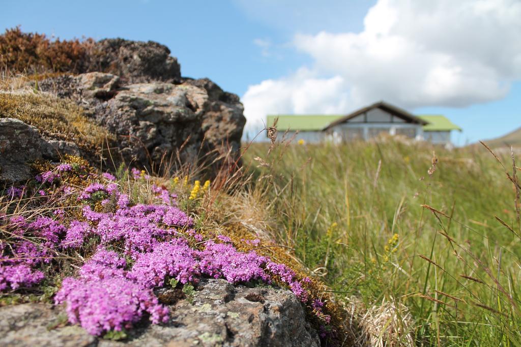 Hömluholt Holiday Homes Dış mekan fotoğraf